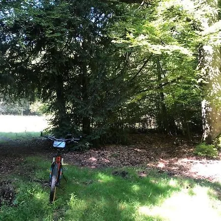 Gemuetliches Einliegerapartment, 50 Qm Trippstadt Esterno foto